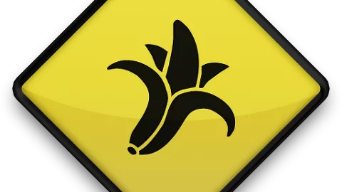 '바나나 공화국(Banana Republic)'이라는 용어는 바나나와 같은 농작물의 수출에 국가 산업을 의존하면서 서구 열강들의 자본에 경제가 예속된 국가들을 지칭하면서 사용되기 시작하였다. 과거 미국의 입김에 자유롭지 못 했던 중앙아메리카 국가들이 바로 대표적인 바나나 공화국이었다. 5