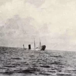 1903년 5월 5일 첫 항해를 시작한 RMS 카파시아호(RMS Carpathia)는 영국 큐나드 라인(Cunard Line)의 대서양횡단 여객선으로 다른 무엇보다도 '타이타닉 구조선'으로 당대의 가장 큰 유명세를 얻었다. 13