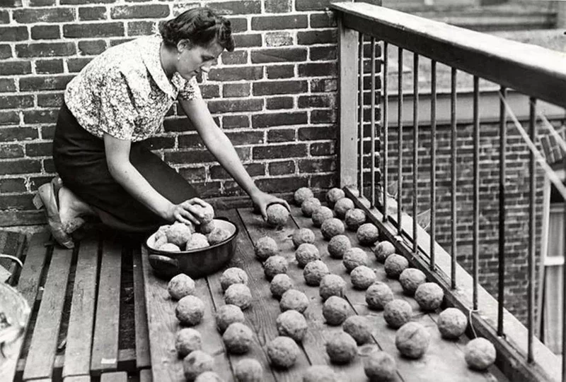 역사적인 사진의 뒷이야기 ㊲ 1940년, 네덜란드의 신문지 연료