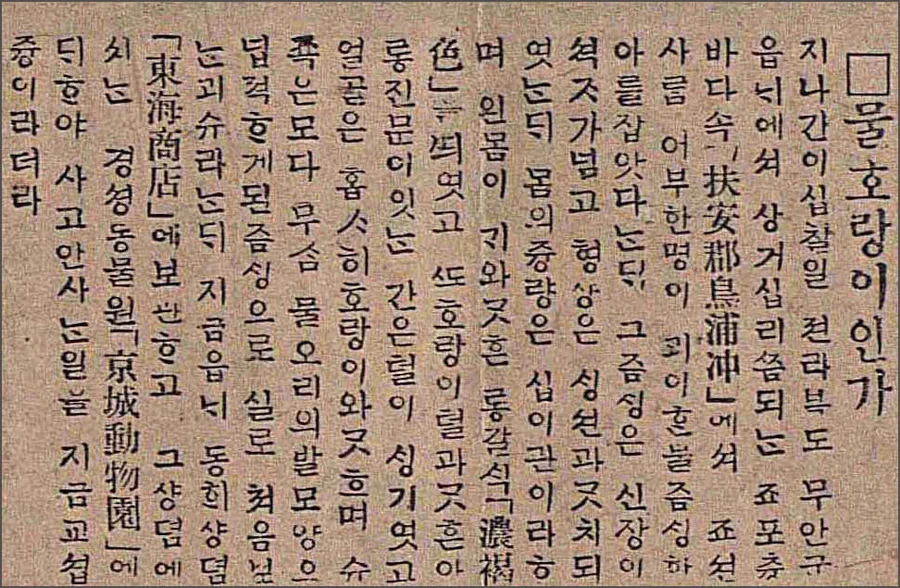 1915년 5월 27일, 전북 부안의 조포 앞바다에서 괴이한 물짐승이 발견되었다. 아래는 이를 보도하는 매일신보의 기사이다. 1