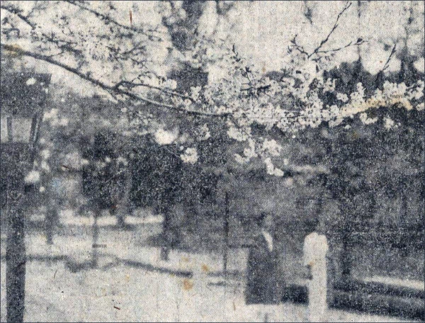 대한제국의 마지막 황제이자 조선왕조 오백 년의 마지막 군주였던 순종(純宗, 1874~1926). 평소 위장병, 신장염, 심장병, 류머티즘 등의 지병을 갖고 있던 그는 임종 4개월 전부터 와병 중이었다. 11