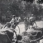 1929년, 지금으로부터 한 세기 전 경성(서울)의 밤거리 풍경은 어떤 모습이었을까. 7