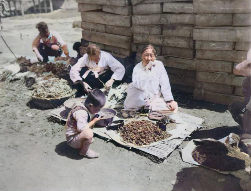 아래의 사진은 대한민국 정부수립 직전인 1948년 5월 중순에 전라남도 광주에서 열린 오일장의 풍경을 담고 있다. 11