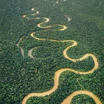 아마존강(Rio Amazonas)은 길이는 나일강에 이어 두 번째이지만 유역면적과 유량으로 세계 최대를 자랑하는 곳이다. 91