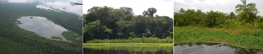 아마존강(Rio Amazonas)은 길이는 나일강에 이어 두 번째이지만 유역면적과 유량으로 세계 최대를 자랑하는 곳이다. 15