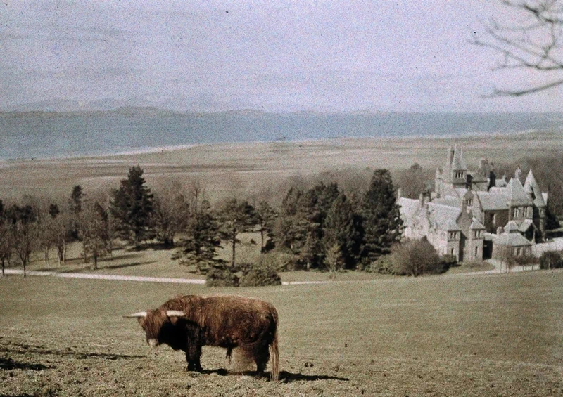 오스트리아 출신의 프리드리히 파네스(Friedrich Adolf Paneth, 1887~1958)는 오늘날 저명한 화학자로 알려져 있다. 인산염 광물인 파네타이트(Panethite, 인마그네슘 나트륨)와 달의 분화구 '파네스(Paneth)'가 바로 그의 이름을 딴 것. 23