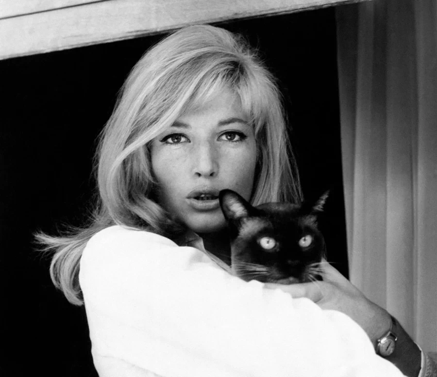 '이탈리아 영화의 여왕'이라는 호칭으로 유명한 모니카 비티(Monica Vitti)는 1931년 11월 3일 로마에서 태어나 아마추어 극단 활동을 하다가 1954년 'Ridere! Ridere! Ridere!'라는 코미디 영화로 데뷔했다. 29