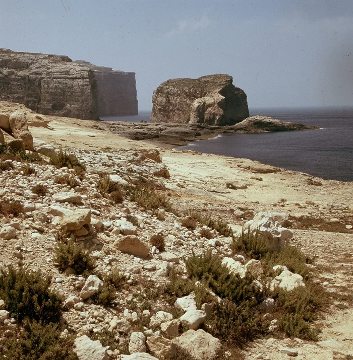 그랜드 하버를 이루는 쉬베라스 반도(Sciberras Peninsula)는 몰타의 수도 발레타(Valletta) 시와 플로리아나(Floriana) 시로 구성되어 있는데, 플로리아나 시는 현재 유럽에서 가장 인구밀도가 높은 곳 중 하나이다. 21