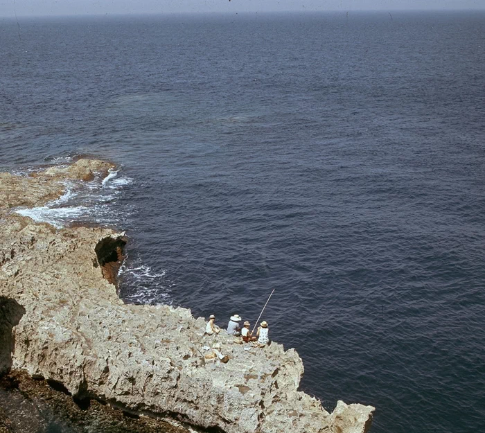 그랜드 하버를 이루는 쉬베라스 반도(Sciberras Peninsula)는 몰타의 수도 발레타(Valletta) 시와 플로리아나(Floriana) 시로 구성되어 있는데, 플로리아나 시는 현재 유럽에서 가장 인구밀도가 높은 곳 중 하나이다. 23