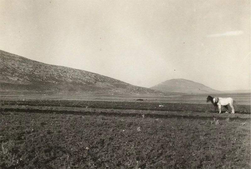 독일의 민속학자이자 사진작가인 카를 그뢰버(Karl Gröber, 1885~1945)는 1920년대에 팔레스타인과 아라비아 시리아의 풍경을 담은 '팔레스타인(PALÄSTINA)'이라는 사진집을 출판했다. 39