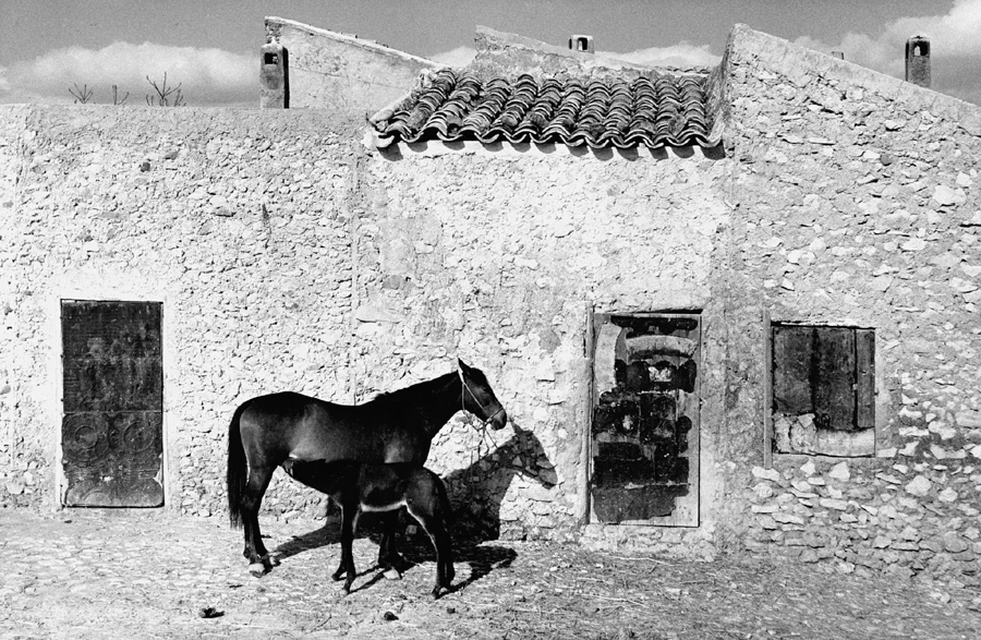 이탈리아 출신의 마리오 드 비아시(Mario De Biasi, 1923~2013)는 1944년부터 독일에서 사진작가로 활동하다가 전쟁 중 추방된 후, 1953년 잡지 에포카(Epoca)에 입사하며 전문적인 경력을 시작했다. 15