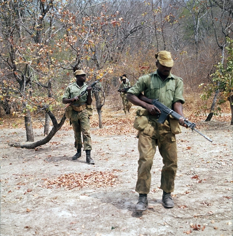 아프리카 동부에 위치한 '탄자니아(United Republic of Tanzania)'는 영국으로부터 1961년 독립한 탕가니카와 1963년에 독립한 잔지바르가 통합하여 탄생한 국가이다. 그런 이유로 국가명 'Tanzania'도 'Tan'ganyika와 'Zan'zibar의 앞 세 글자와 접미사 'ia'가 합성되어 만들어졌다. 25