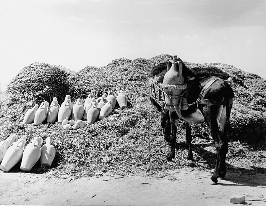 이탈리아 출신의 마리오 드 비아시(Mario De Biasi, 1923~2013)는 1944년부터 독일에서 사진작가로 활동하다가 전쟁 중 추방된 후, 1953년 잡지 에포카(Epoca)에 입사하며 전문적인 경력을 시작했다. 29