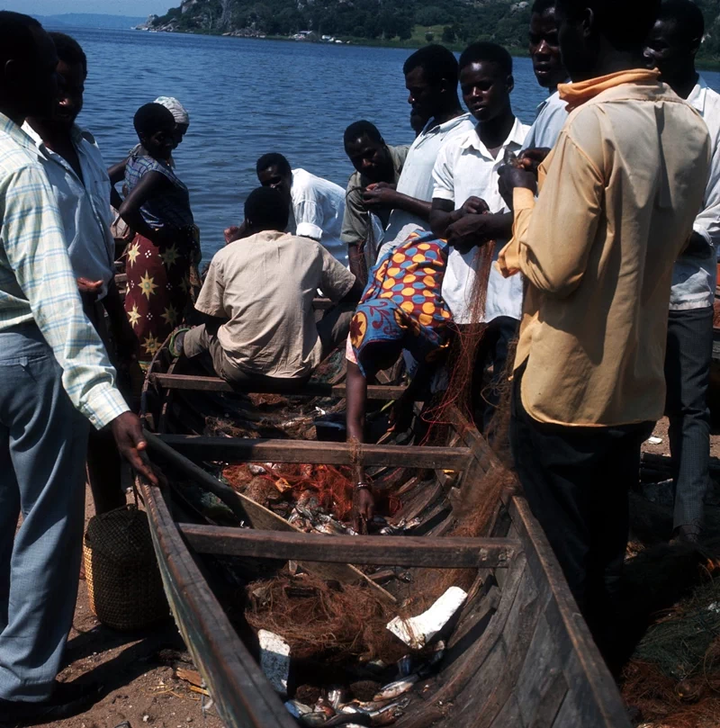 아프리카 동부에 위치한 '탄자니아(United Republic of Tanzania)'는 영국으로부터 1961년 독립한 탕가니카와 1963년에 독립한 잔지바르가 통합하여 탄생한 국가이다. 그런 이유로 국가명 'Tanzania'도 'Tan'ganyika와 'Zan'zibar의 앞 세 글자와 접미사 'ia'가 합성되어 만들어졌다. 37