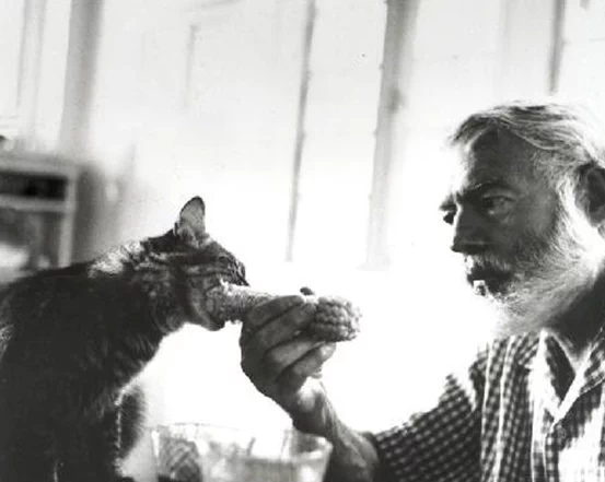 노벨문학상 수상자였던 대문호 어니스트 헤밍웨이(Ernest Miller Hemingway, 1899~1961)는 광적인 애묘인이었다. 9