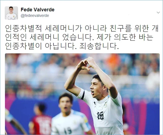 2017년 6월 4일, 대전월드컵경기장에서 열린 'FIFA U-20 월드컵' 포르투갈과 우루과이의 8강전에서 논란의 장면이 벌어졌다. 3