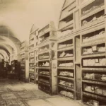 카푸친 카타콤베(Capuchin Catacombs / 이탈리아어: Catacombe dei Cappuccini)는 시칠리아의 팔레르모에 위치한 지하묘지로 이곳에는 8,000구가 넘는 유해와 1,252구의 미라가 있다. 13