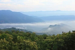 1. 프랑스, 도르도뉴(Dordogne) 마치 동화같은 성과 집들로 유명한 곳. 특히 매년 열리는 오시탄(Occitan)이라는 축제에는 유럽각국의 요리를 선보이며 유럽의 모든 것을 한자리에서 느껴볼 수 있다. 2. 세네갈, 다카르(Dakar)
<p>
세네갈은 프랑스의 식민지였기에 프랑스와 아프리카의 혼재된 문화를 경험할 수 있다. 특히 다카르 패션위크는 세계 최대규모의 패션쇼로 자리잡고 있다.</p> 3. 멕시코, 멕시코시티
<p>
연간 2,200만명이 넘는 관광객이 찾아오는 멕시코의 수도 멕시코시티는 미국과는 다른 스타일의 정통 또띠아로 유명하다. 특히 매년 11월 2일의 '망자의 날(Día de Muertos) 축제'는 세계적으로 알려진 꼭 가봐야 할 명물.</p> 4. 뉴질랜드, 캔터베리(Canterbury)
<p>
뉴질랜드 남섬에 위치한 숨막히는 절경의 캔터베리는 현지인들에게 '신의 길(God's Way)이라고 불린다. 이곳은 대부분 보호구역이므로 사람의 손길이 거의 닿지 않았다.</p> 5. 그린란드
<p>
덴마크의 오랜식민지였다가 2009년 6월 21일에 자치를 선언한 그린란드는 세계에서 가장 큰 섬으로 알려져 있다. 아름다운 풍경속에 모든 겨울스포츠를 즐길 수 있으며 북극권의 동물들을 모두 접할 수 있다.</p> 6. 스위스, 브베(Vevey)
<p>
스위스의 브베는 페이스트리와 초콜릿, 와인으로 유명한 곳. '스위스의 음식수도'라는 애칭을 가지고 있다. 세계적인 식품회사인 네슬레 본사가 이곳에 위치하고 있는 이유이기도 하다.</p> 7. 페루, 아마존 열대우림
<p>
세계의 열대우림중에서도 가장 아름다운 곳이 페루의 아마존열대우림이다. 2018년 1월 11일에 개장한 야구아스 국립공원(Zona Reservada Yaguas)은 면적 8,689km²에 달한다.</p> 8. 오만
<p>
중동의 관광지로는 아랍에미리트(UAE)의 두바이와 아부다비가 가장유명하지만 오만은 걸프지역의 오랜전통과 문화를 체험할 수 있는 곳이다. 사막투어를 비롯해 오만의 수도 무스카트에서는 이슬람의 모스크, 골동품시장, 다채로운 박물관을 한번에 관람할 수 있다.</p> 9. 베트남, 황련(黄连)
<p>
베트남의 수도 하노이에서 남동쪽으로 195km 떨어진 곳에 있는 황련국가산림공원(黄连国家森林公园)은 베트남에서 가장 높은 지점. 마치 구름위에 있는 마을이라는 느낌을 주는 곳이다. 8천 헥타르의 면적에 550종의 동물, 2800종의 식물이 자생하고 있다.</p> 10. 중국, 판징산(梵淨山)
<p>
중국 구이저우(貴州)성 퉁런시에 있는 판징산(梵淨山)은 해발 2572m로 2018년 유네스코 세계자연유산에 등재되었다. 이곳에 가면 세계에서 유일한 반석위에 건설된 사원을 볼 수 있다.</p> 3