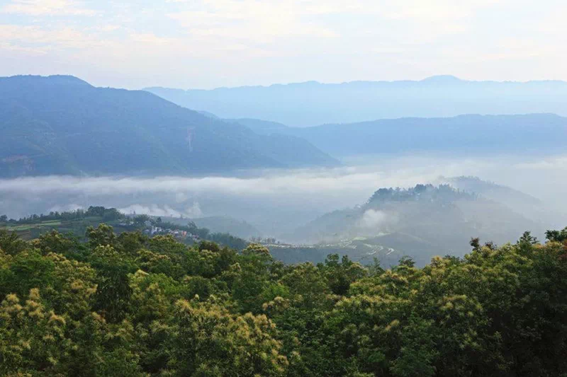 1. 프랑스, 도르도뉴(Dordogne) 마치 동화같은 성과 집들로 유명한 곳. 특히 매년 열리는 오시탄(Occitan)이라는 축제에는 유럽각국의 요리를 선보이며 유럽의 모든 것을 한자리에서 느껴볼 수 있다. 2. 세네갈, 다카르(Dakar)
<p>
세네갈은 프랑스의 식민지였기에 프랑스와 아프리카의 혼재된 문화를 경험할 수 있다. 특히 다카르 패션위크는 세계 최대규모의 패션쇼로 자리잡고 있다.</p> 3. 멕시코, 멕시코시티
<p>
연간 2,200만명이 넘는 관광객이 찾아오는 멕시코의 수도 멕시코시티는 미국과는 다른 스타일의 정통 또띠아로 유명하다. 특히 매년 11월 2일의 '망자의 날(Día de Muertos) 축제'는 세계적으로 알려진 꼭 가봐야 할 명물.</p> 4. 뉴질랜드, 캔터베리(Canterbury)
<p>
뉴질랜드 남섬에 위치한 숨막히는 절경의 캔터베리는 현지인들에게 '신의 길(God's Way)이라고 불린다. 이곳은 대부분 보호구역이므로 사람의 손길이 거의 닿지 않았다.</p> 5. 그린란드
<p>
덴마크의 오랜식민지였다가 2009년 6월 21일에 자치를 선언한 그린란드는 세계에서 가장 큰 섬으로 알려져 있다. 아름다운 풍경속에 모든 겨울스포츠를 즐길 수 있으며 북극권의 동물들을 모두 접할 수 있다.</p> 6. 스위스, 브베(Vevey)
<p>
스위스의 브베는 페이스트리와 초콜릿, 와인으로 유명한 곳. '스위스의 음식수도'라는 애칭을 가지고 있다. 세계적인 식품회사인 네슬레 본사가 이곳에 위치하고 있는 이유이기도 하다.</p> 7. 페루, 아마존 열대우림
<p>
세계의 열대우림중에서도 가장 아름다운 곳이 페루의 아마존열대우림이다. 2018년 1월 11일에 개장한 야구아스 국립공원(Zona Reservada Yaguas)은 면적 8,689km²에 달한다.</p> 8. 오만
<p>
중동의 관광지로는 아랍에미리트(UAE)의 두바이와 아부다비가 가장유명하지만 오만은 걸프지역의 오랜전통과 문화를 체험할 수 있는 곳이다. 사막투어를 비롯해 오만의 수도 무스카트에서는 이슬람의 모스크, 골동품시장, 다채로운 박물관을 한번에 관람할 수 있다.</p> 9. 베트남, 황련(黄连)
<p>
베트남의 수도 하노이에서 남동쪽으로 195km 떨어진 곳에 있는 황련국가산림공원(黄连国家森林公园)은 베트남에서 가장 높은 지점. 마치 구름위에 있는 마을이라는 느낌을 주는 곳이다. 8천 헥타르의 면적에 550종의 동물, 2800종의 식물이 자생하고 있다.</p> 10. 중국, 판징산(梵淨山)
<p>
중국 구이저우(貴州)성 퉁런시에 있는 판징산(梵淨山)은 해발 2572m로 2018년 유네스코 세계자연유산에 등재되었다. 이곳에 가면 세계에서 유일한 반석위에 건설된 사원을 볼 수 있다.</p> 17