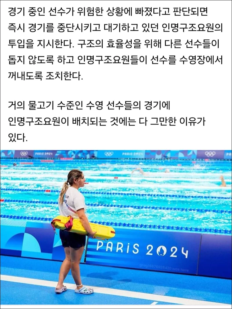 이에 대해 수영 경기장 인명구조요원이 필요한 이유에 대해 설명한 글(아래) 7