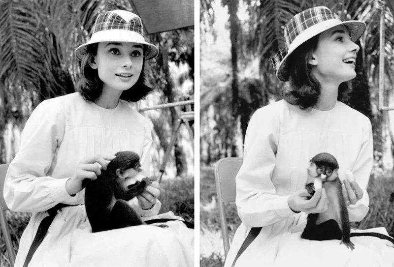 1958년, 영국 출신의 여배우 오드리 헵번(Audrey Hepburn, 1929~1993)이 아프리카 콩고의 숲속에서 반려견과 함께 앉아있다. 67