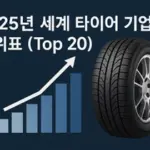 2025년 세계 타이어 기업 순위표 (Top 20) 순위 기업명 본사 국가 연간 매출액 (USD 십억) 생산량 (백만개) 브랜드 가치 (USD 십억) 주요 강점 1 미쉐린(Michelin) 프랑스 27.5 ~190 8.8 지속가능성, 프리미엄 R&D 2 브리지스톤(Bridgestone) 일본 25.5 ~180 8.3 OEM 제휴, 혁신기술 3 굿이어(Goodyear) 미국 18.2 ~167 2.3 레이싱 전통, 쿠퍼 인수 4 콘티넨탈(Continental) 독일 14.6 ~150 3.9 안전기술, OE 공급 선도 5 피렐리(Pirelli) 이탈리아/중국 7.2 ~100 1.9 UHP, EV, 시노켐 소유 6 스미토모고무(Sumitomo) 일본 7.2 ~110 - 가성비, 글로벌 도달 7 한국타이어앤테크놀로지(Hankook) 한국 6.6 ~100 - R&D 역량, OE 확대 8 요코하마고무(Yokohama) 일본 6.2 ~80 1.5 오프로드, 모터스포츠 9 중처고무(ZC Rubber) 중국 4.8 ~75 - 중국 최대, 수출 물량 10 세일룬그룹(Sailun) 중국 3.6 ~60 0.905 EcoPoint3 기술, 고성장 11 토요타이어(Toyo) 일본 3.6 ~38 0.852 미국 시장, UHP 성장 12 맥시스(Maxxis) 대만 3.3 ~70 - 물량 리더, 안정적 가치 13 금호타이어(Kumho) 한국/중국 3.1 ~60 - 더블스타 지원, OE 확대 14 아폴로타이어(Apollo) 인도 3.1 ~40 - 아프리카·중동 성장 15 MRF 타이어 인도 3.0 ~22 - 현지 지배력, 내구성 16 기티타이어(Giti) 싱가포르 3.0 ~60 0.924 OE 승인, 균형 포트폴리오 17 링롱타이어(Linglong) 중국 2.8 ~60 0.785 세르비아 스마트공장 18 넥센타이어(Nexen) 한국 2.2 ~40 - 기술 확장, 중간급 19 트라이앵글타이어(Triangle) 중국 2.1 ~27 - 중장비 전문, 미국 R&D 20 더블코인(Double Coin) 중국 2.0 ~33 - TBR 전문, SmartWay 승인 * 모든 매출액을 USD 기준으로 환산 (2024년 평균 환율 적용) 타이어 전용 매출액 기준으로 순위 산정 (콘티넨탈의 경우 자동차 부품 제외) 순위 산출 근거 및 출처 - Brand Finance (Tyres 25 2025 Report) - Tyrepress.com 2025 Leading Tyre Manufacturers - Trojan Limited Global Tyre Rankings 2025 - 각 기업 공식 실적 발표 9